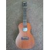 Aria-Concert (ACU-120)