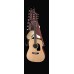 Aria: AGPN-003-N Acoustic Gtr Package W/AWN-15