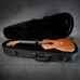 Concert - Light case