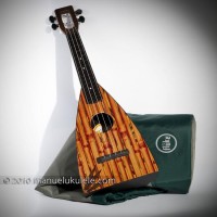 Fluke (Bamboo - concert)