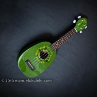 Kala: Silkscreen KIWI (KA-KIWI)