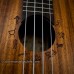 aNueNue: Lani II Series Concert (aNN-L2)