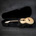 Tenor - Light case