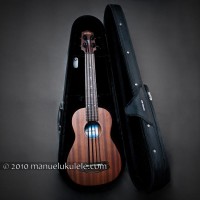 U-BASS: All Solid Mahogany (w/ light case)