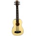 U-BASS: Solid Spruce Top UBass (w/ Deluxe Gigbag)