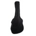 Aria: AGPN-003-N Acoustic Gtr Package W/AWN-15