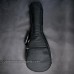 Concert - Deluxe gig bag with padding (CB-20)