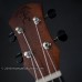 aNueNue: Papa II Series Concert (aNN-P2)
